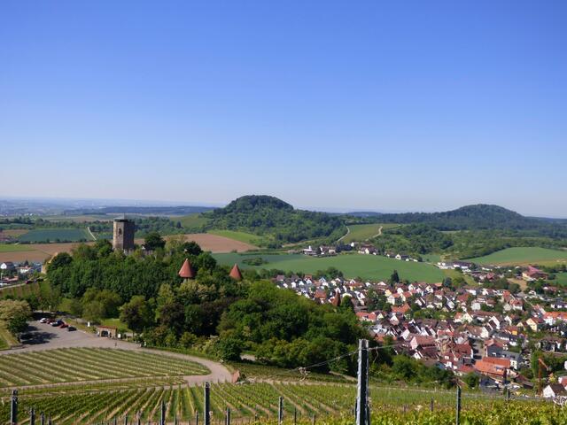 Beilstein mit seiner Burg zwischen Reben und Hügeln