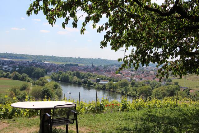 Neckarblick zur Kirschenzeit bei Kirchheim