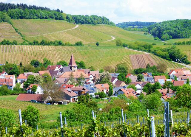 Der kleine Weinort Haberschlacht liegt wunderschön eingebettet in die Weinberg-Landschaft