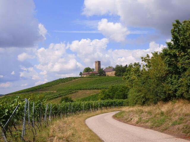 Alle Wege führen nach Rom - aber dieser zur Ravensburg