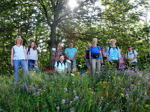 Auch die fröhlichen Wandersleut' stehen mitten in den Blüten. Oregano (Dost) und Johanniskraut in Hülle und Fülle.