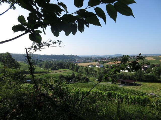 Ausblick vom Donnbronner Randweg über Ober- und Untergruppenbach hinüber zur Burg Stettenfels