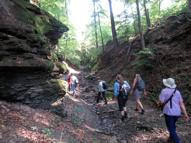 Wie bereits beschrieben, der Eingang zum Tunnel ist Flein zugewandt und eine völlig andere Welt wie die Heilbronner Seite der L1111 (Autobahnzubringer Untergruppenbach)