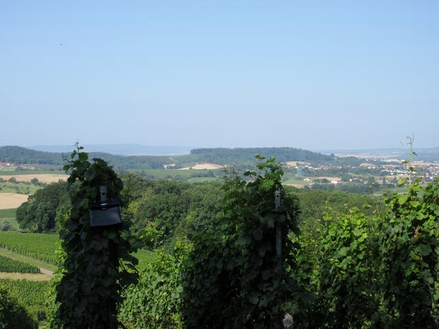 Ein schöner Ausblick vom Foto-Point an der Donnbronner Höhe über Flein hinüber zum Haigern. Hier wachsen auch antike Damen-Handtaschen an den Reben