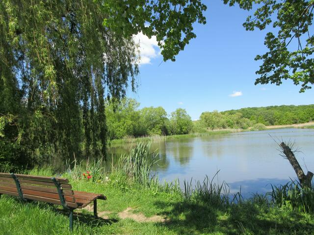 Naturschutzgebiet Neunstetten Im See