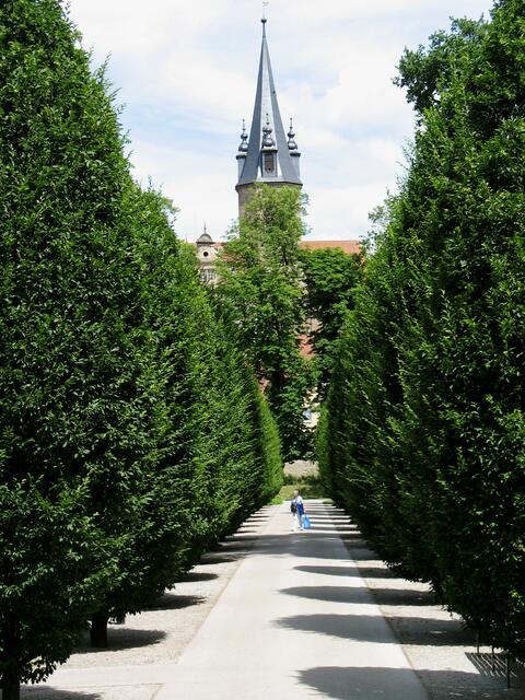 Mittagsschatten; Stiftskirche Öhringen