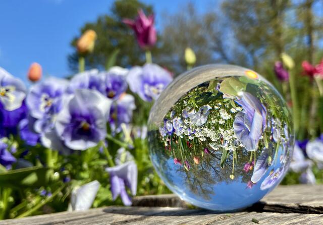 "Pfühlpark im Glas"
