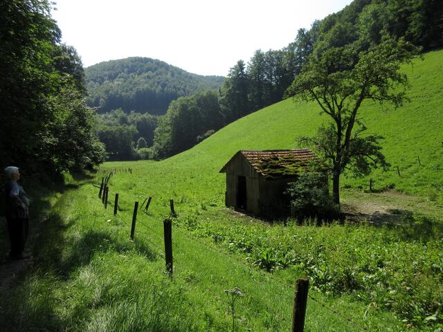 Das Stehen bleiben für dieses Foto bezahlte ich mit dem ersten Bremsenstich, durch zwei Lagen Kleidung hindurch