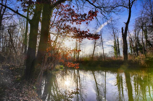 Spätherbst am Seeloch in Lauffen