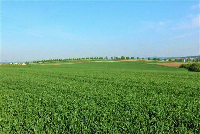 Verbindungsweg zwischen Stebbach und Gemmingen