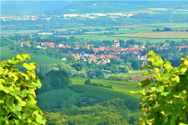 Blick vom Heuchelberg ins Neckartal