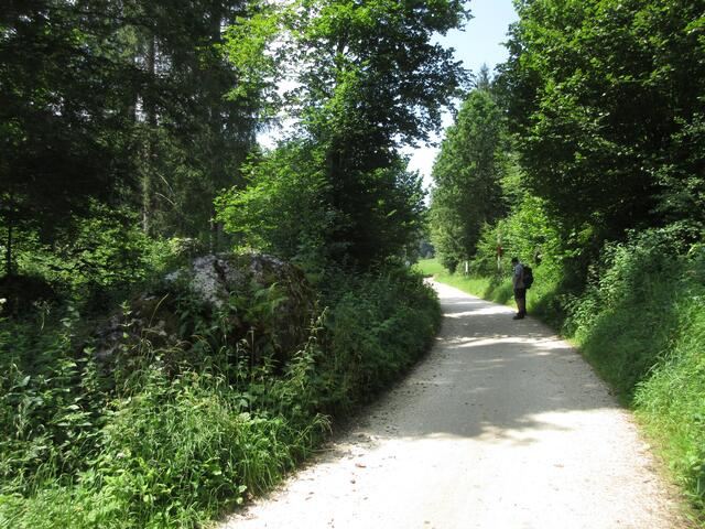 Am Grauen Stein. Dieser besteht aus mehreren Kluftkörpern, die durch intensive Verkarstung, die den ursprünglichen Fels zerlegt hat.