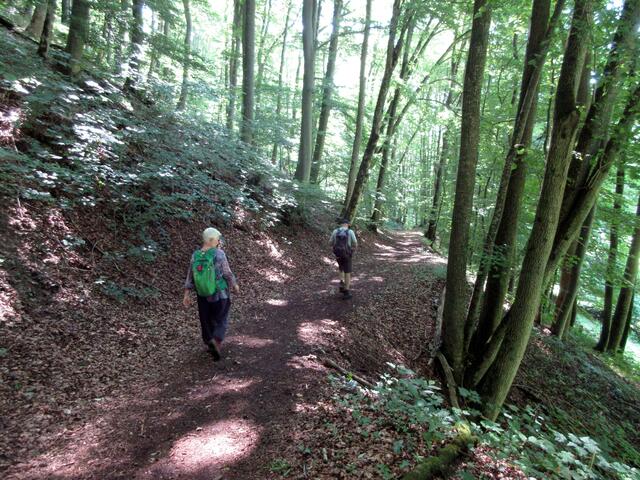 Schattig und im Wald war zuerst alles noch gut.