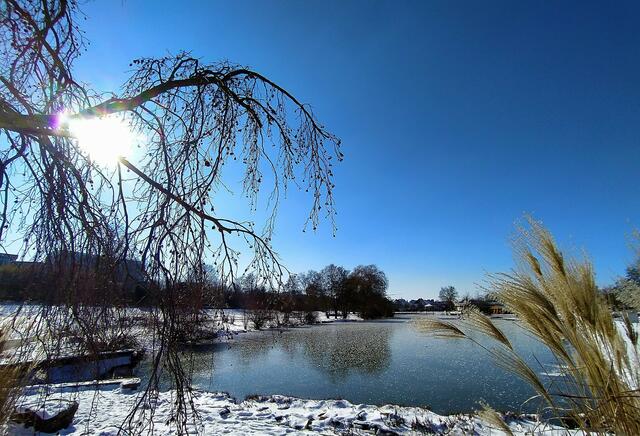 Winterliche Auszeit im Rappenauer Kurpark
