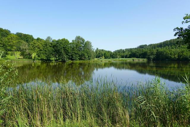 Neumühlsee - beliebt zum Angeln oder Baden, wie man möchte