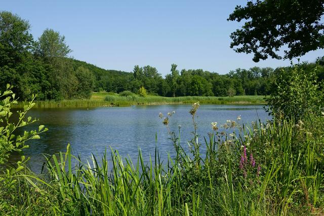 Neumühlsee - beliebt zum Angeln oder Baden, wie man möchte