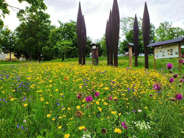 Herrlicher Salinengarten mit bunten Blumenwiesen - Seelenschmeichler