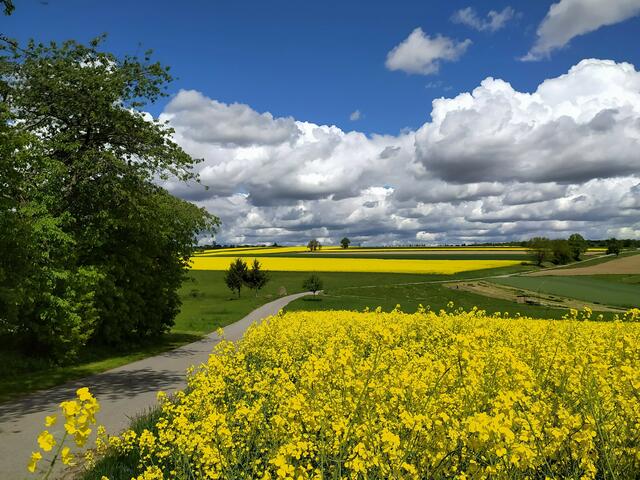 Mein Herz wird weit - Kürnbach an der Grenze des Heilbronner Lands
