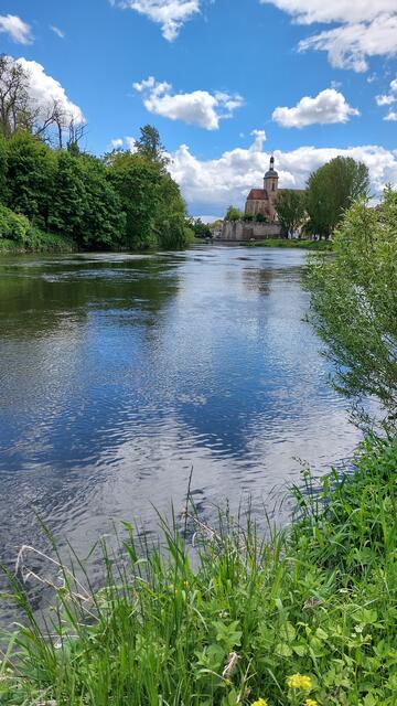 Ausflug nach Lauffen am Neckar