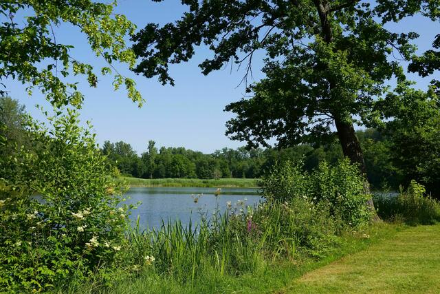 Neumühlsee - beliebt zum Angeln oder Baden, wie man möchte