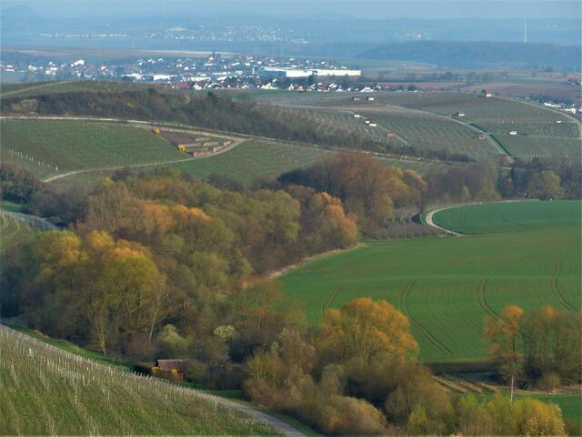 Blick vom Zweifelsberg ins Neckartal