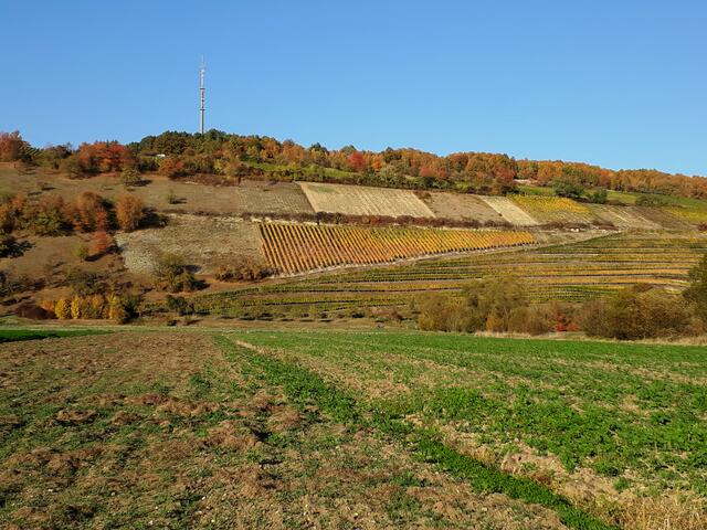 abgeerntete Felder und aufgelassene Weinberge im Jagsttal