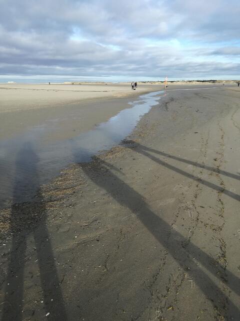 was der Schatten so kann, endlich lange Beine!