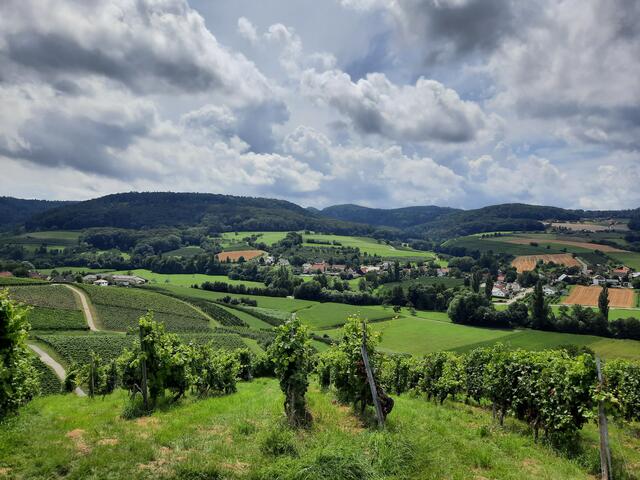 Am Ranzenberg - Gemeinde Pfedelbach