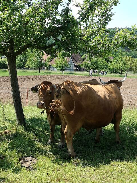 Hitze lass nach...