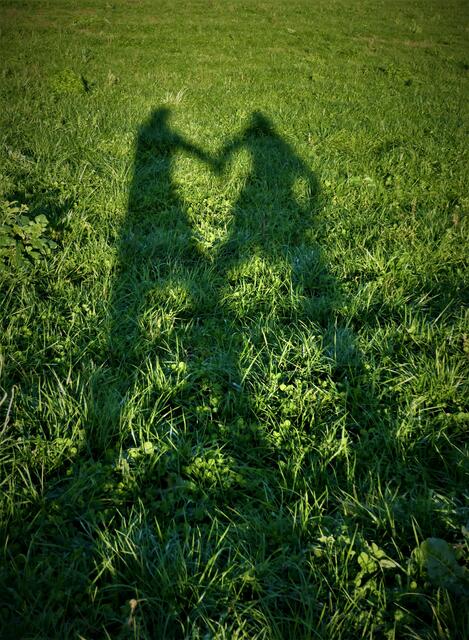 Schattenspiel HERZ