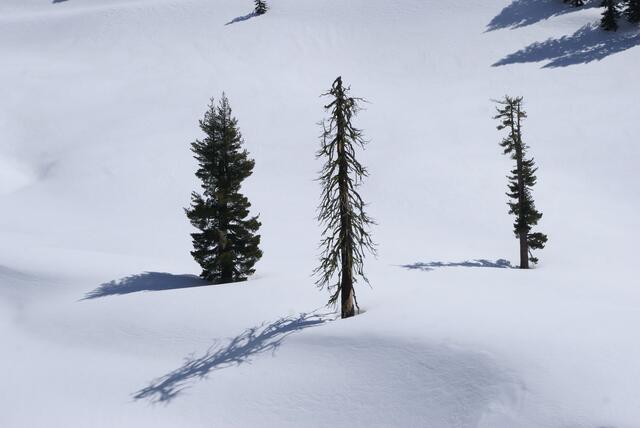 Schatten im Schnee