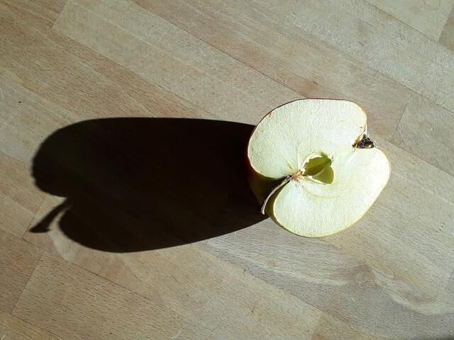 Apfelhälfte im schrägen Licht