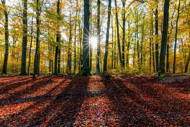 Die Schatten werden länger