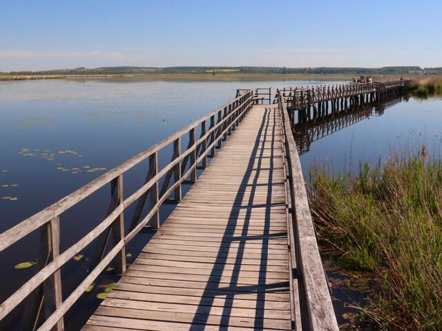 Steg am Federsee