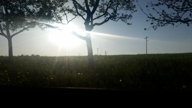 Abendsonne erzeugt Licht und Schatten
