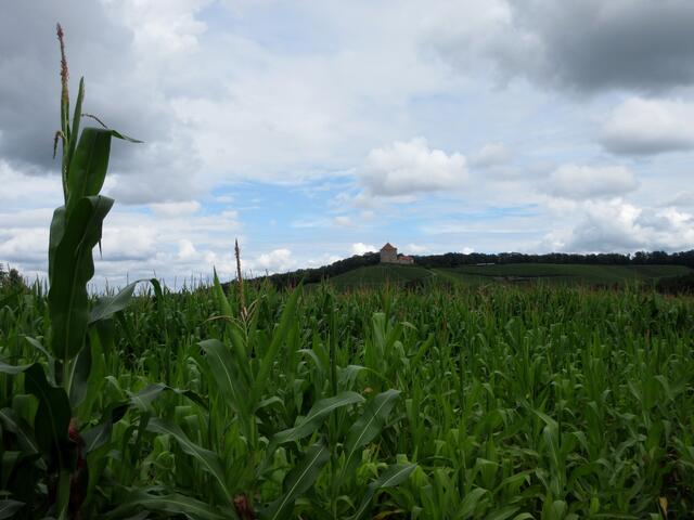 ... eigentlich war sie so weit weg