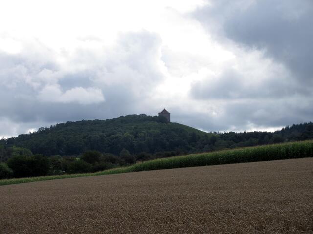 Der erste Blick zur Burg Wildeck. Am Ende der Wanderung hatten wir ganz unterschiedliche Ansichten beisammen.