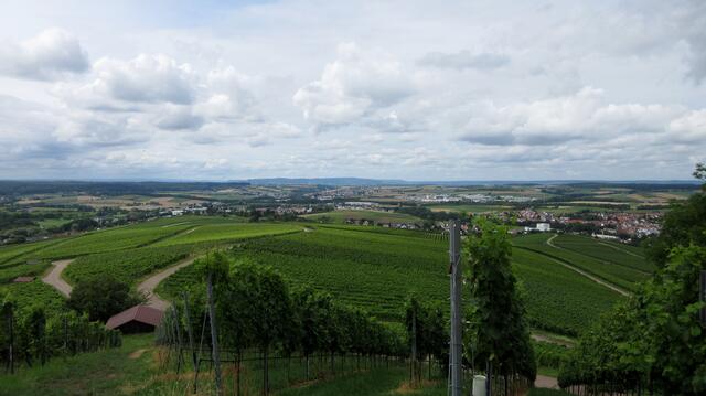 Blick in Richtung Stromberg. Hier am Helfenberg steht auch die Hütte, die man auf dem 5. Bild sieht. Der Kreis schließt sich