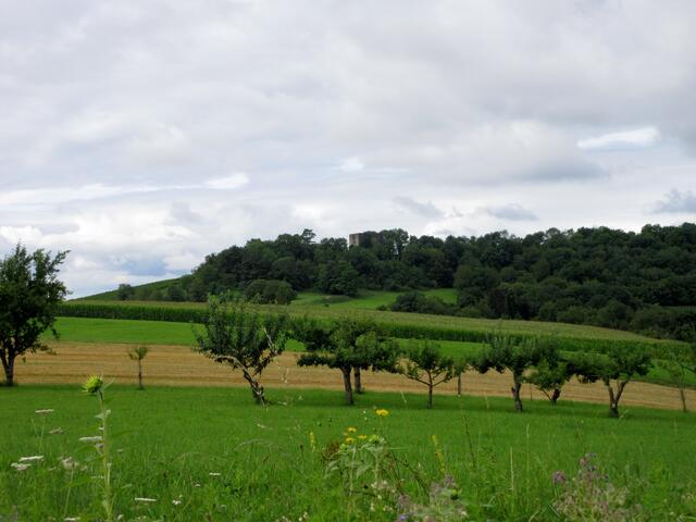 Und auch die Burgruine Helfenberg versteckte sich noch vor neugierigen Blicken.