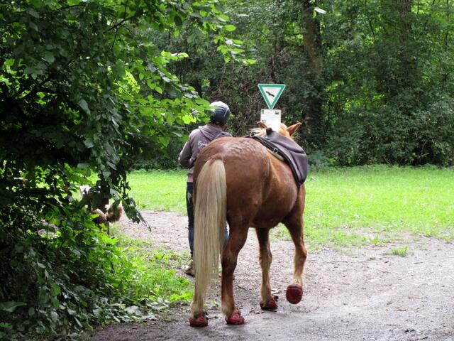Die Reiterin erklärte der Gruppe, dass ihr Pferd "barfuß" gehen darf und somit keine Verletzungen an den Hufen durch die Hufnägel haben muss. In schwierigem Gelände schützen dann diese roten Schuhe vor eindringenden Steinen usw.