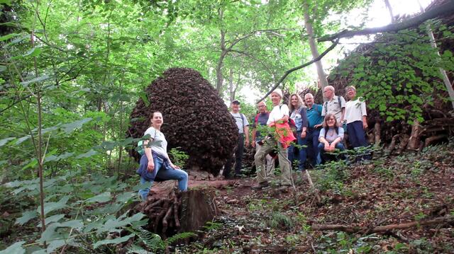 Aber alle haben es geschafft.