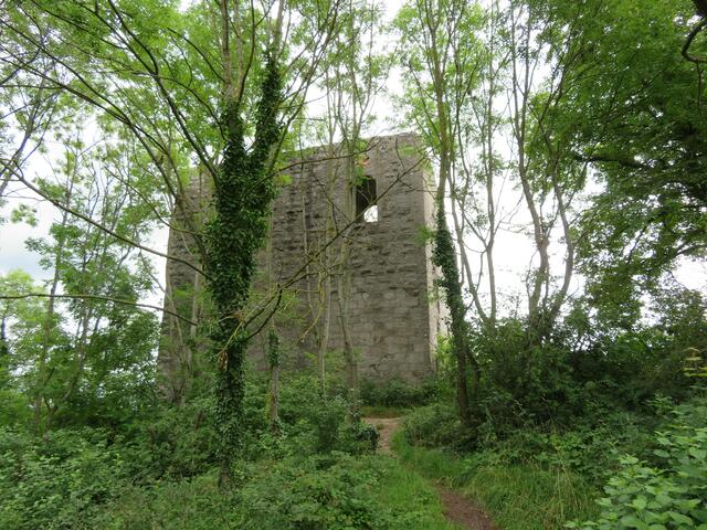 Burgen haben bereits die Römer gebaut, ihr Wachtürme nannten sie "burgus". Burgen aus Holz nannte man Motten, von Palisaden oder Wällen umgeben. Daraus entwickelten sich im 11. Jahrhundert steinerne Wohntürme. Helfenberg wurde um 1250 erbaut. Im 30jährigen Krieg zerstört und teilweise wieder aufgebaut. | Foto: Aurelia Kling