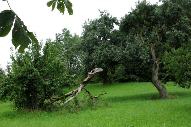 Landschaftliches Stilleben. Wir haben uns noch darüber unterhalten, wie die Natur solche Motive schafft.