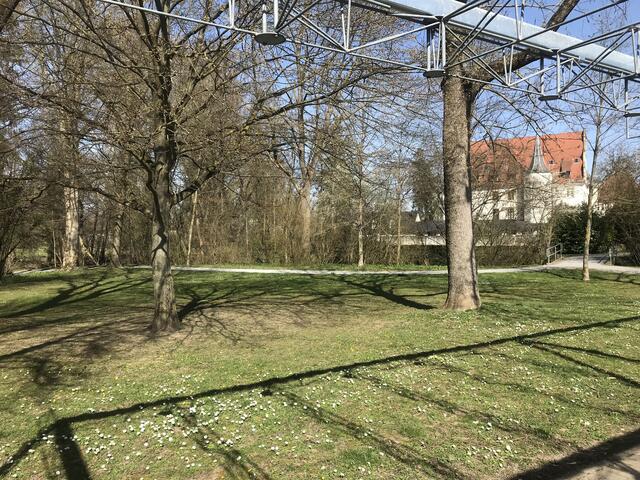 Schatten von Gerüst und Bäumen