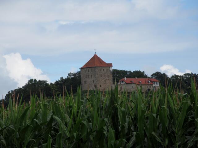 Und wieder die Wildeck...