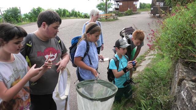 Die Kinder beobachten die Gottesanbeterin an der Mauer