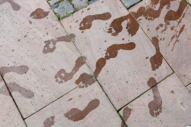 Ein schönes Muster ist entstanden. | Foto: Ralf Seidel