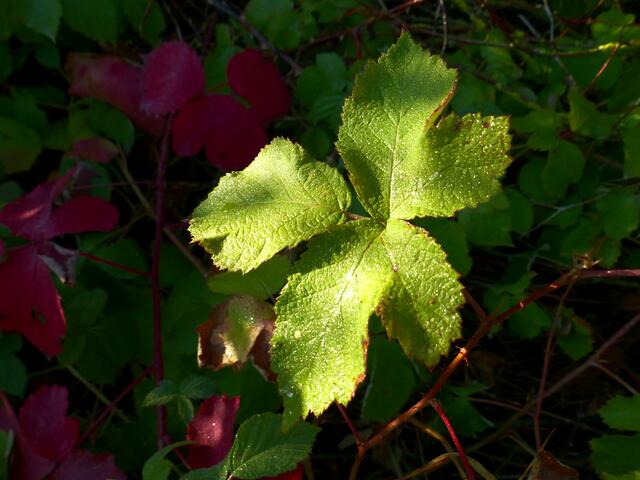 Licht und Schatten