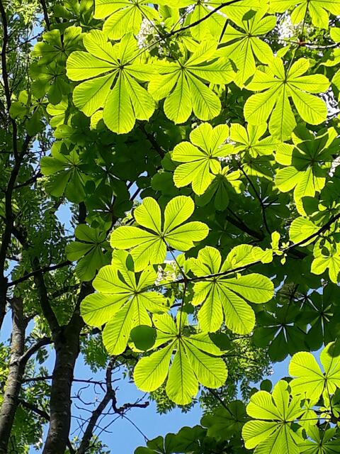 Licht und Schatten