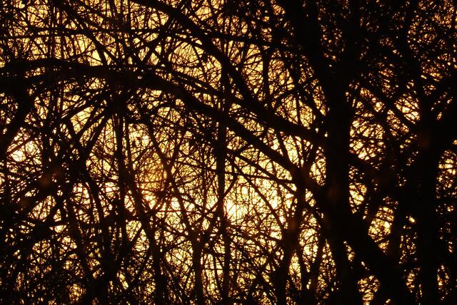 Licht hinter Gittern